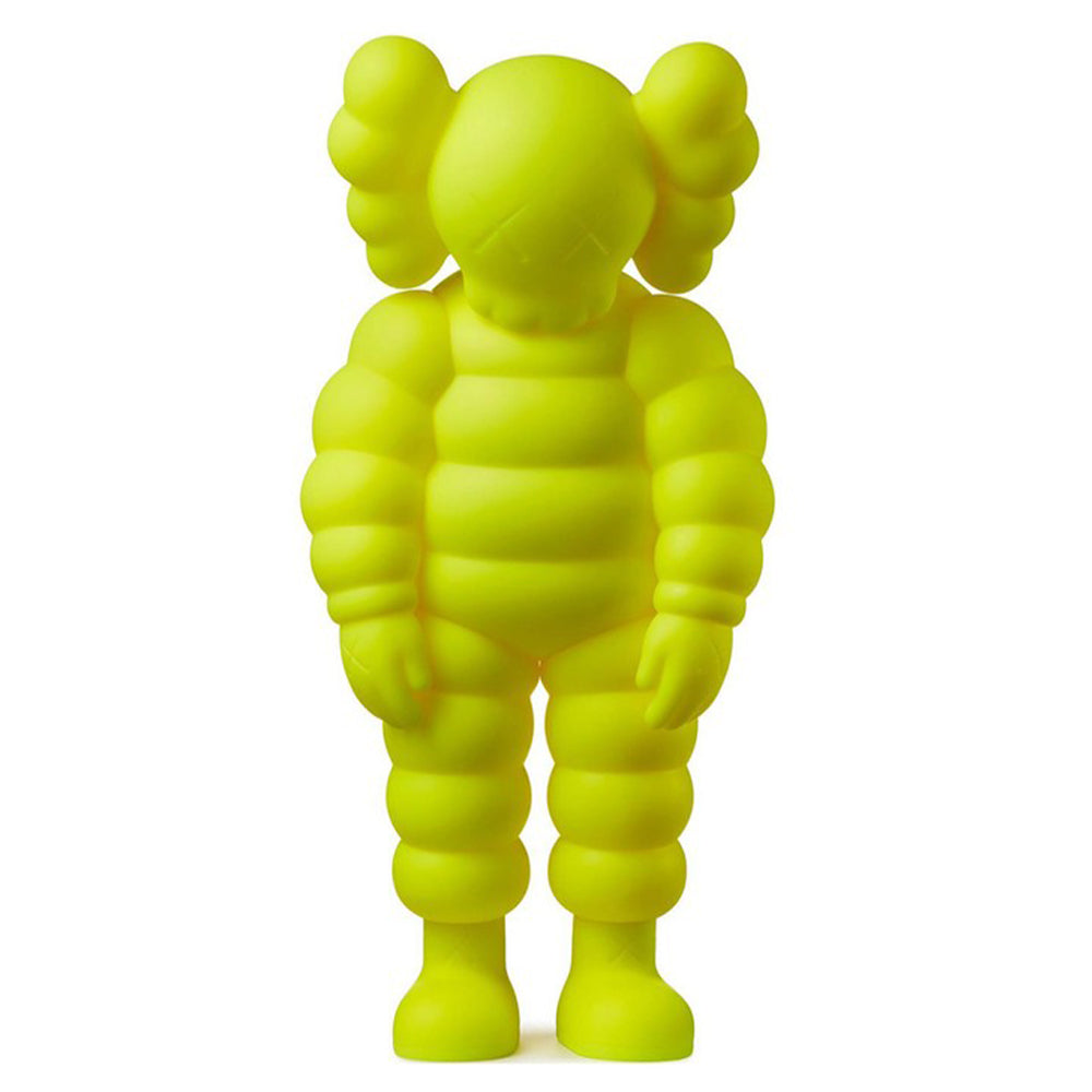 Kaws What Party Chum Open Edition