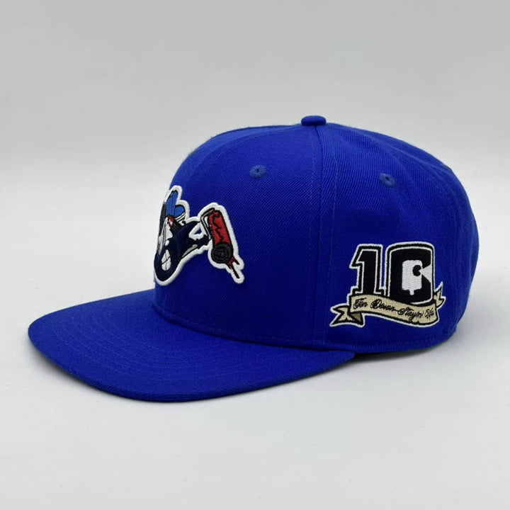 Collective "Jay Bird" Snapback Hat