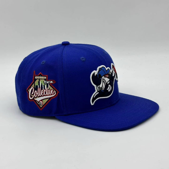 Collective "Jay Bird" Snapback Hat