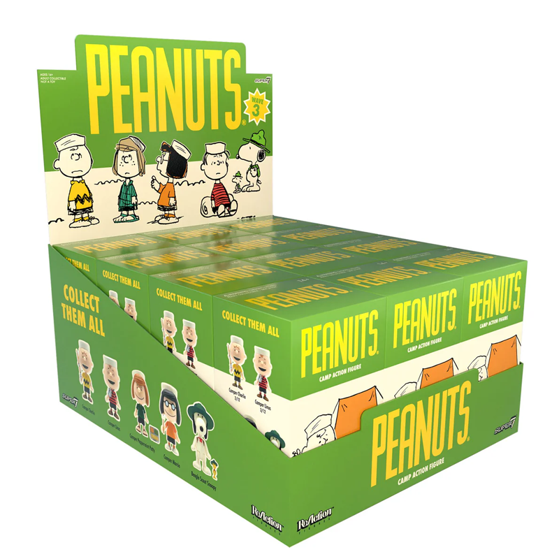 Peanuts Camp Action Figure Blind Box by Super7