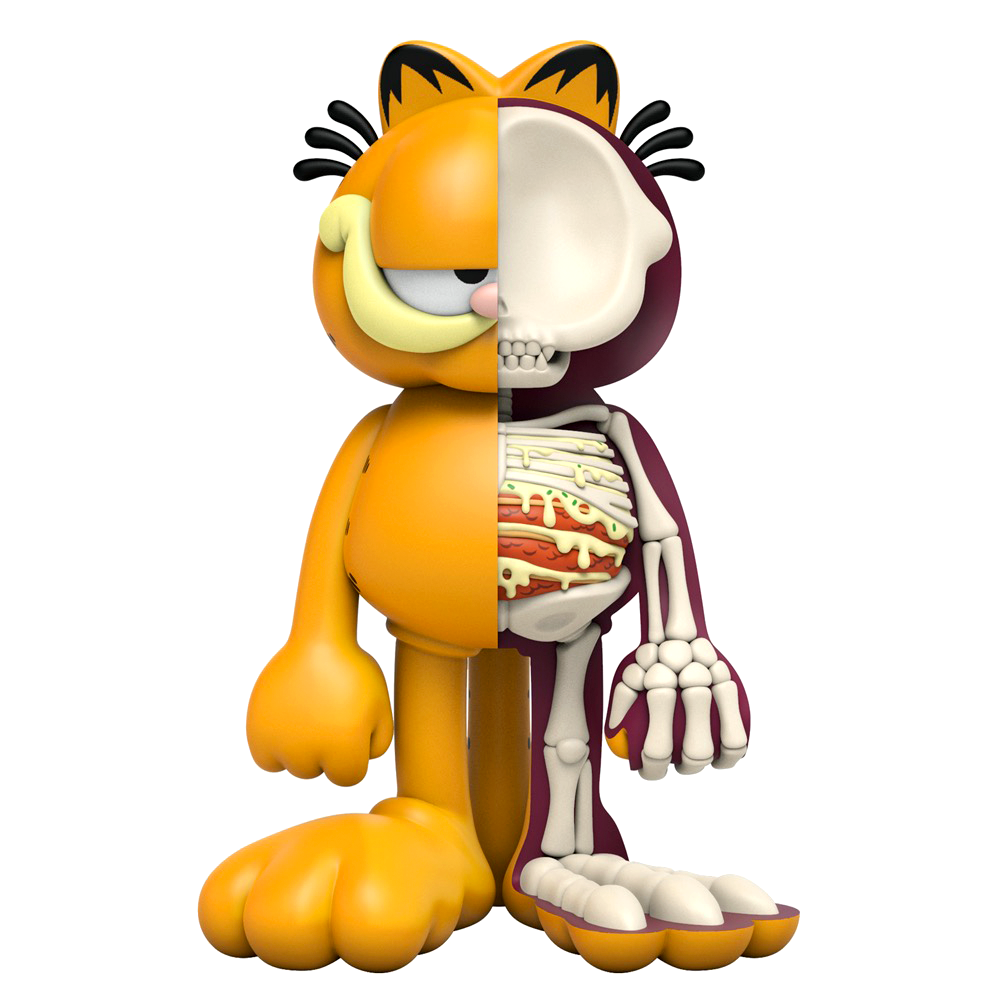 XXRAY Garfield Designer Figure By Jason Freeny and Nickelodeon x Mighty Jaxx